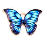 Mariposa azul