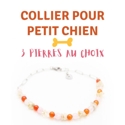 Collier Petit Chien - 3 pierres au choix