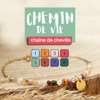 Chaîne de cheville chemin de vie avec 8 pierres personnalisées en acier inoxydable argenté ou doré – bijou de lithothérapie unique. Création sur mesure Ma Peste Adorée.
