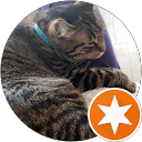 Photo de profil de Sana H