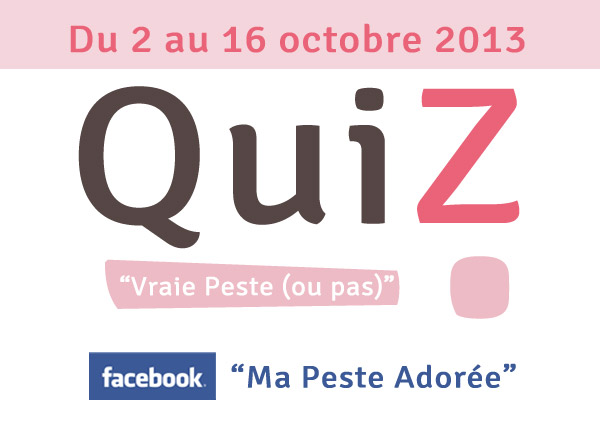 Jeu concours chez Ma Peste Adorée du 2 au 16 octobre 2013 avec des bijoux à gagner