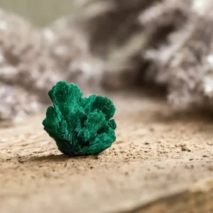 La malachite : le cristal de transformation, ses vertus détoxifiantes et protectrices