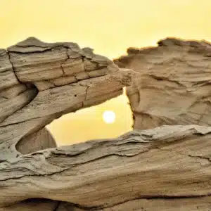 Les fossiles en lithothérapie : un pont entre le passé géologique et le bien-être actuel