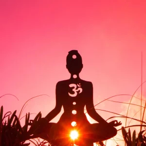 Le Chakra Racine (Muladhara) : fondement de votre équilibre énergétique