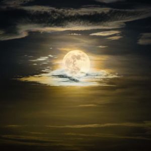 Purification des pierres : le rituel de pleine lune en Taureau pour la Toussaint