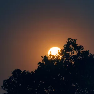 Combien de temps allez-vous ressentir les effets de la pleine lune ?