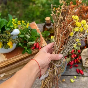 Phytothérapie et lithothérapie : quels sont les liens ?