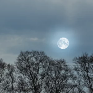 Pleine lune en vierge du 14 mars 2025 : un moment idéal pour le renouveau personnel 